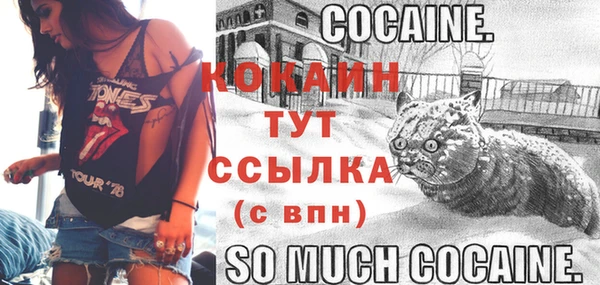 мяу мяу мука Козловка