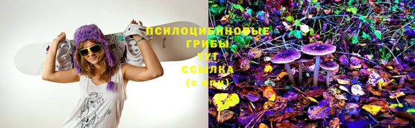 МДПВ Кодинск
