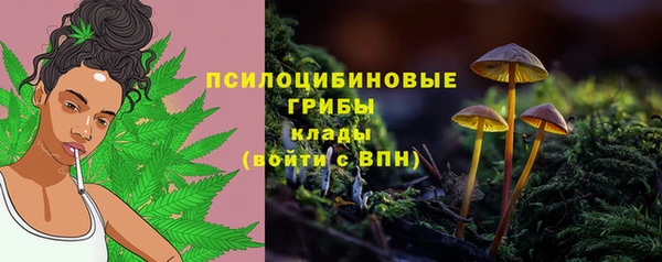 МДПВ Кодинск